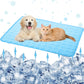 🔥Last Day Promotion 53% OFF & Free Shipping🧊Pets Cooling Mat (4x more effective)