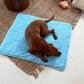 🔥Last Day Promotion 53% OFF & Free Shipping🧊Pets Cooling Mat (4x more effective)
