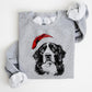 🎄🎅CHRISTMAS SPECIAL PRICE: ￡11.99!!🎁Santa Paws Christmas Dog Sweatshirt🐶