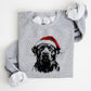🎄🎅CHRISTMAS SPECIAL PRICE: ￡11.99!!🎁Santa Paws Christmas Dog Sweatshirt🐶