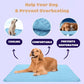 🔥Last Day Promotion 53% OFF & Free Shipping🧊Pets Cooling Mat (4x more effective)