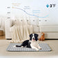 🔥Last Day Promotion 53% OFF & Free Shipping🧊Pets Cooling Mat (4x more effective)
