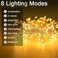✨LAST DAY SALE 50% OFF!!!✨🎁 Copper Wire Firecracker Light String