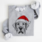 🎄🎅CHRISTMAS SPECIAL PRICE: ￡11.99!!🎁Santa Paws Christmas Dog Sweatshirt🐶