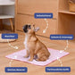 🔥Last Day Promotion 53% OFF & Free Shipping🧊Pets Cooling Mat (4x more effective)