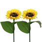 ⏳Time-Limited Special Price: ￡9.99!!⏰Sunflower Solar Garden Stake Led Lights🌻