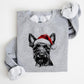 🎄🎅CHRISTMAS SPECIAL PRICE: ￡11.99!!🎁Santa Paws Christmas Dog Sweatshirt🐶