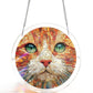 💖🎁LAST DAY SALE £10.99!!🔥50K+ SOLD!🪟🕊️Acrylic Jigsaw Puzzle Suncatcher 80 Pieces