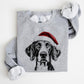 🎄🎅CHRISTMAS SPECIAL PRICE: ￡11.99!!🎁Santa Paws Christmas Dog Sweatshirt🐶