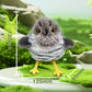 🔥Last Day Promotion 50%OFF🐱Lifelike Bird-Shaped Interactive Cat Toy