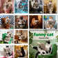 😻📆New Year Hot Sale 49% OFF🔥💥Funny Animal Calendar 2026 Calendar