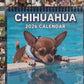 😻📆New Year Hot Sale 49% OFF🔥💥Funny Animal Calendar 2026 Calendar