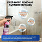 💗LAST DAY SALE 60% OFF⚡50K+ SOLD💕Multi-Surface Bathroom Cleaner for Mold & Limescale🛁