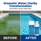 🌊Summer Cool Deal: ONLY ￡8.99!!🌊💧 Swimming Pool Purifying Liquid – Crystal Clear Water✨  fresh swimming every time. 🏊‍♂️💙