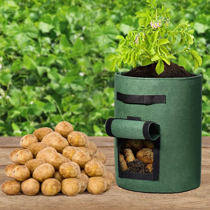 🥔LAST DAY SALE 70% OFF🍃50K+ SOLD🌱Cloth crop planting bags with harvesting windows🌿