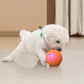 ⏰Limited Time Special Price ￡7.99!!✨🐾 AUTO-BOUNCING SMART PET BALL WITH REMOTE CONTROL— 3 Interactive Modes | Chew-Resistant E-TPU | USB-C Rechargeable 🎾