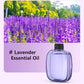 🥇Hot Sale - 50% OFF🌿Automatic Fragrance Spray for Home