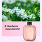 🥇Hot Sale - 50% OFF🌿Automatic Fragrance Spray for Home